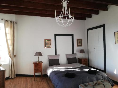 une chambre avec un lit et un lustre dans l'établissement Domaine Abartiague, à Ossès