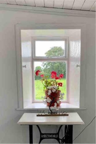 a window with a vase of flowers on a table at Gragara House in Kilkenny