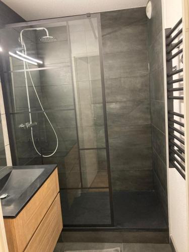 une douche avec une porte vitrée dans une salle de bain dans l'établissement Appartement T2 Jardins de Ramel, à Luchon