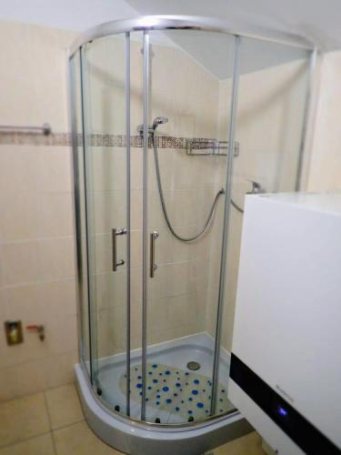 a shower with a glass enclosure in a bathroom at Ubytovanie Clematis in Trenčianske Teplice