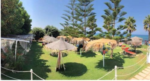 a group of umbrellas on a lawn near the ocean at Suite house Palazzo La Fenicia in Giovinazzo