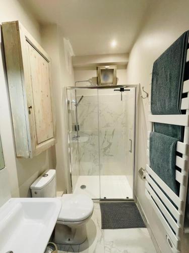 une salle de bain avec une douche, des toilettes et un lavabo dans l'établissement Appartement 30 Arago, à Port-Vendres