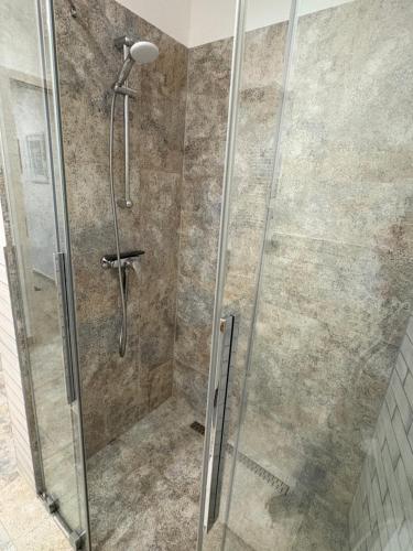 a shower in a bathroom with a glass shower stall at Seeapartment Southbeach mit Terrasse und Seezugang in Sekirn