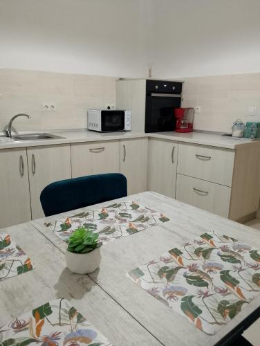 a kitchen with a table with a potted plant on it at Vila Sabo- Casa de vacanta cu lac de pescuit si ciubar cu hidromasaj in Sîntioana