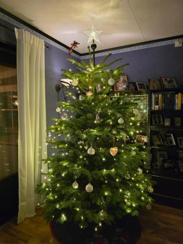 a green christmas tree in a living room at Årjäng Villa nära naturen in Årjäng