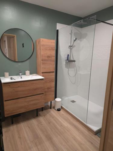 une salle de bain avec une douche, un lavabo et un miroir dans l'établissement Appartement cosy près de Sceneo et Auchan au dessus du fleuriste Bellafleur, à Longuenesse