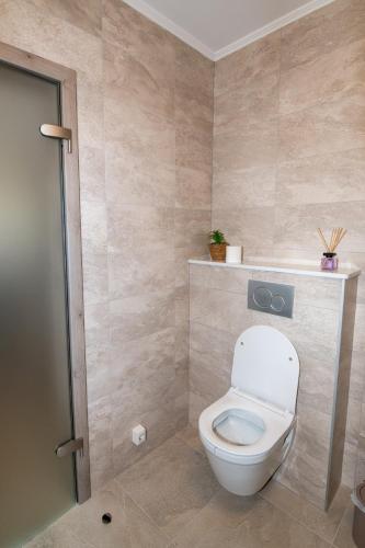 a bathroom with a white toilet in a room at Villa Angela in Šmrika
