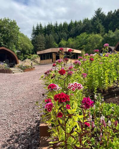 a garden with flowers in front of a building at Gortin Glen Glamping in Omagh