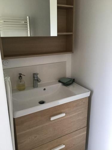 une salle de bain avec un lavabo et un miroir dans l'établissement House near Chateaux de la Loire, à Saint-Georges-sur-Cher