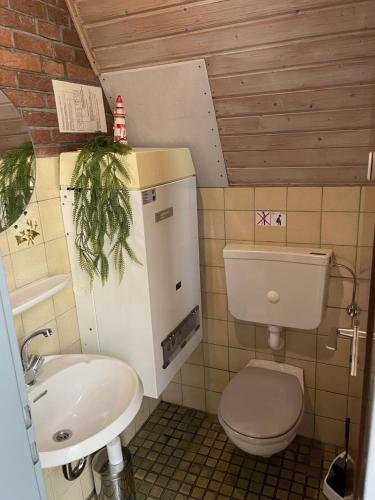a small bathroom with a toilet and a sink at Ferienhaus Liesel in Dornumersiel