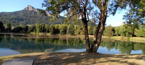 a lake with a tree and a mountain in the background at Appartement vue Lac Thyez in Thyez