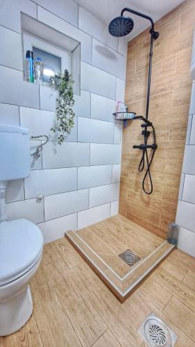 a bathroom with a shower with a toilet at Kucica na Dunavu in Smederevo
