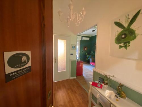 Attico White Rabbit photo 15