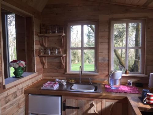 a kitchen with a sink and windows in a log cabin at Retreat in Nature in Cardigan
