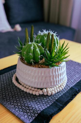 a white cake with plants in it on a table at Gardy rooms in Nea Kalikratia