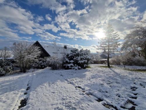a snow covered road in front of a house at Magisches Wachstein in Wachstein