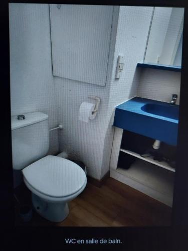 La salle de bains est pourvue de toilettes blanches et d'un lavabo bleu. dans l'établissement Cap ô sud 1, à Cannes
