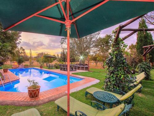 a pool with chairs and an umbrella in a yard at Airport Bird & Game Lodge in Kempton Park