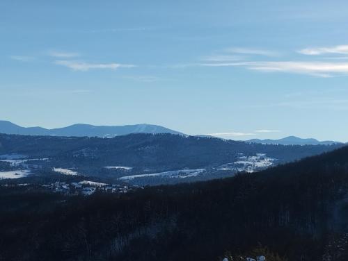 a view of a mountain with trees and a city at VILA ANTONIJE in Šljivovica