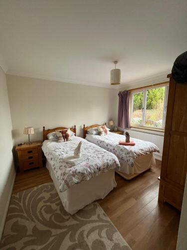 a bedroom with two beds and a window at Isla Cottage in Blairgowrie