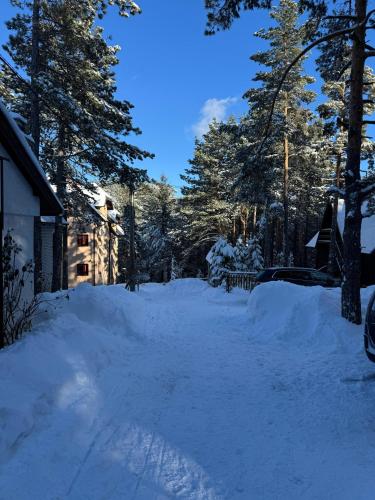 a snow covered driveway with trees and a house at Apartmani Tara Vila Isidora in Kaludjerske Bare