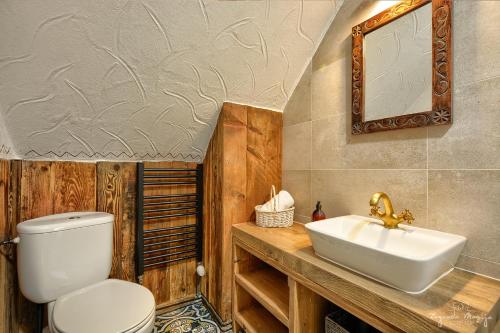 a bathroom with a toilet and a sink at Zagroda Magija Bieszczady in Orelec