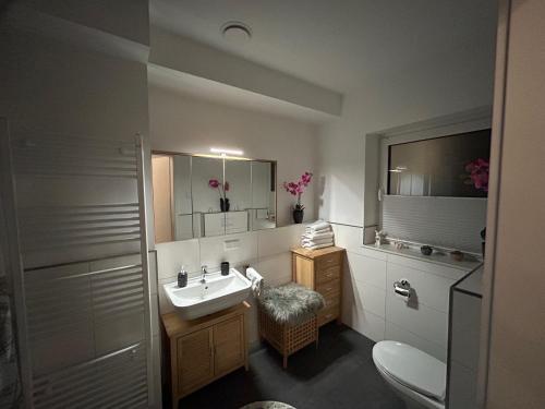 a bathroom with a sink and a toilet and a mirror at Moderne Ferienwohnung Green Garden mit Garten und Stellplatz in Bremerhaven