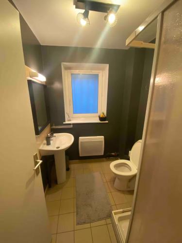 une salle de bain avec toilettes, lavabo et fenêtre dans l'établissement Joli studio zen et cozy au coeur de Saint Claude, à Saint-Claude