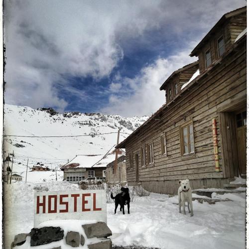 two dogs standing in the snow in front of a hostel at Portezuelo del Viento - Hostel de Montaña in Las Cuevas