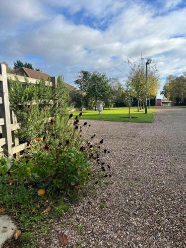 a bunch of birds sitting on a bush next to a fence at Home Farm & Lodge in Bawtry