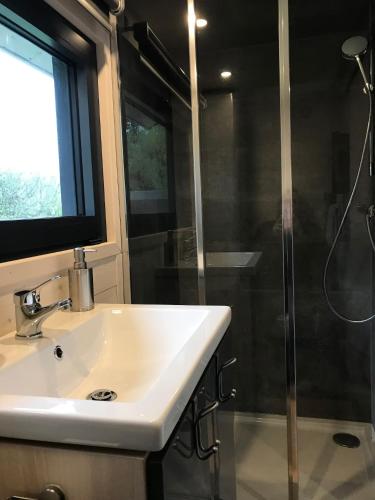 une salle de bain avec un lavabo et une douche dans l'établissement Le Cabanon - Tiny House 150m de la Plage, à Portbail
