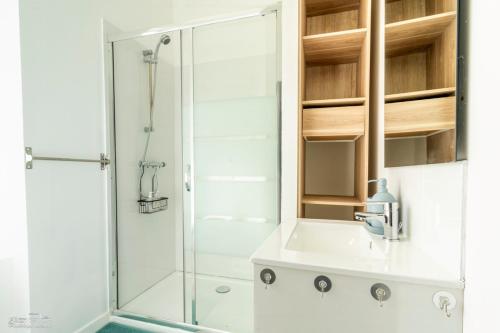 une salle de bain avec douche et lavabo dans l'établissement La CasaFamilia - Nantes bord de Loire, à Rezé