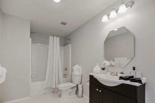 a bathroom with a sink and a toilet and a mirror at Cozy 1BR Parking, Rooftop, Near Arrowhd & TMobile in Kansas City
