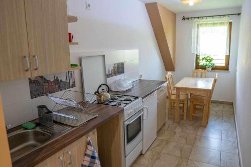a kitchen with a sink and a stove top oven at Agroturystyka Pod Zamczyskiem in Sromowce Wyżne