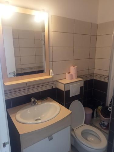 une salle de bain avec un lavabo, des toilettes et un miroir dans l'établissement Le Paradis Bleu !, à Saint Cyprien Plage