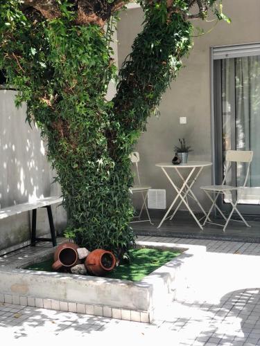 a tree with some pots on the ground next to a bench at Casa da Avó Olinda in Góis