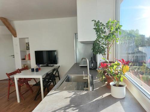 a kitchen with a sink and a table with plants at Apartment "Atelier ZR" in Žďár nad Sázavou