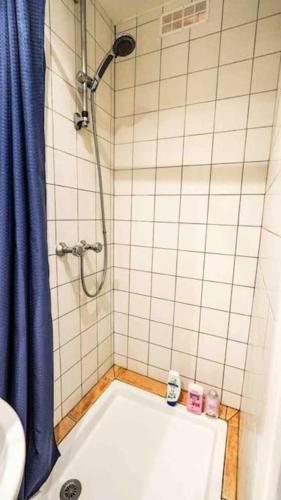 une salle de bain avec une douche avec un rideau de douche bleu dans l'établissement 07 grand studio on the Place des Vosges, à Paris