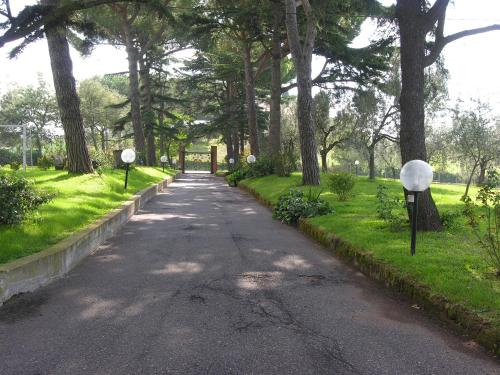 a road with trees on the sides of it at Vigna Licia in Pomezia