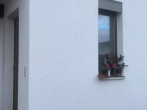 MünchenwilerにあるStudio 5 Minuten von Murtenの窓枠のクリスマス装飾