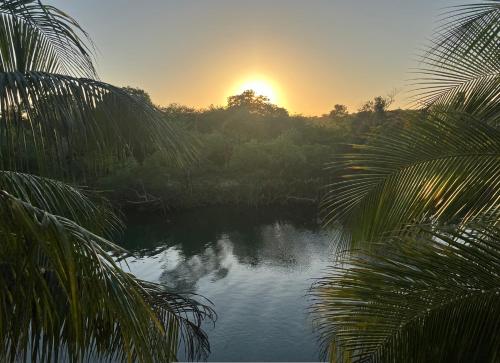 プンタ・ゴーダにあるIn the Tropics by the Seaの夕日を背景に川の景色