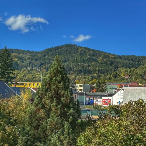 a view of a city with a mountain in the background at Apartmány Bašta & Wellness in Sušice
