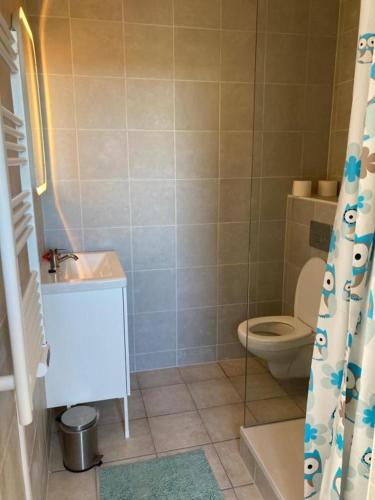 a bathroom with a toilet and a sink at Vakantiehuisje De Waddenuil in Usquert