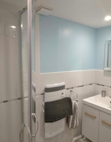 une salle de bain avec douche et lavabo dans l'établissement Gite de la foret, à Saint-Plantaire