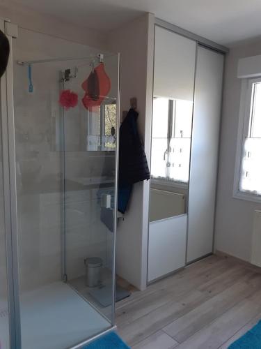une salle de bain avec une douche en verre dans une chambre dans l'établissement Maison de campagne, à Plémet