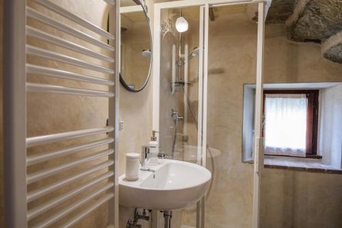 a bathroom with a sink and a shower at Camera a Casa Castora in Uffogliano