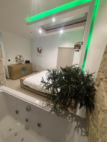 ヴィルモンブルにあるJacuzzi House - 1-Bed & Parking - Villemomble, Parisのベッドルーム1室(ベッド1台、緑色の照明付きのバスタブ付)