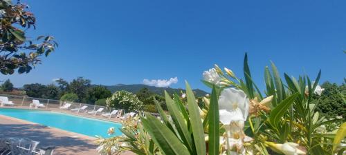 une vue de la piscine d'un complexe hôtelier avec des fleurs blanches dans l'établissement Villa 