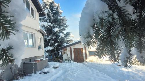 Villa Panorama Sarajevo v zimě