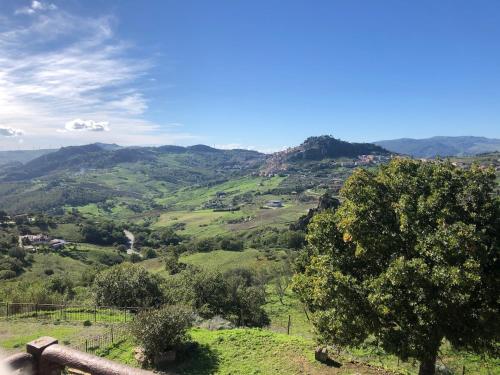 a view of a green valley with a tree at Villa Pietralunga in the woods in Nicosia